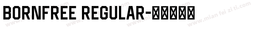 BornFree Regular字体转换